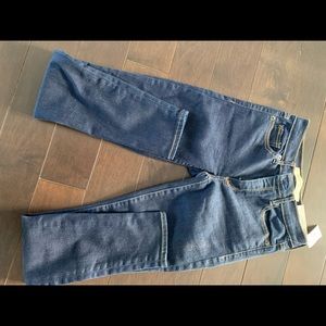 NWT Gap skinny jeans indigo size 24 regular